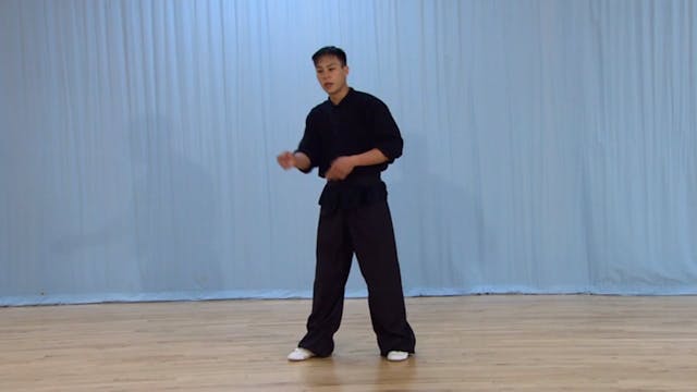 Shaolin Kung Fu Advanced 2 - 10