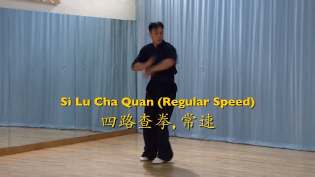 Shaolin Kung Fu Advanced 2 - 80