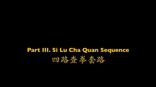 Shaolin Kung Fu Advanced 2 - 31