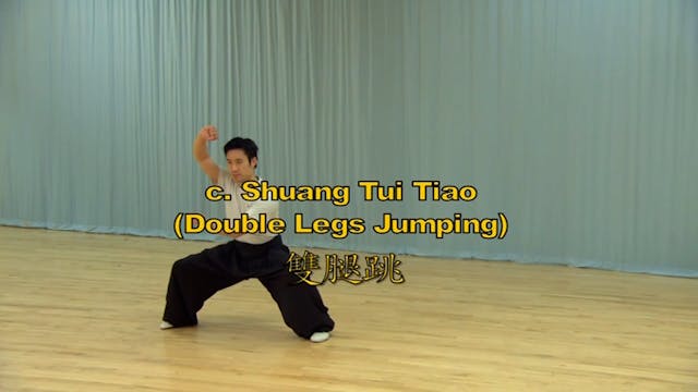 Shaolin Kung Fu Long Fist Int - 44