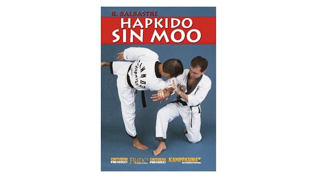 Sin Moo Hapkido by R Balbastre