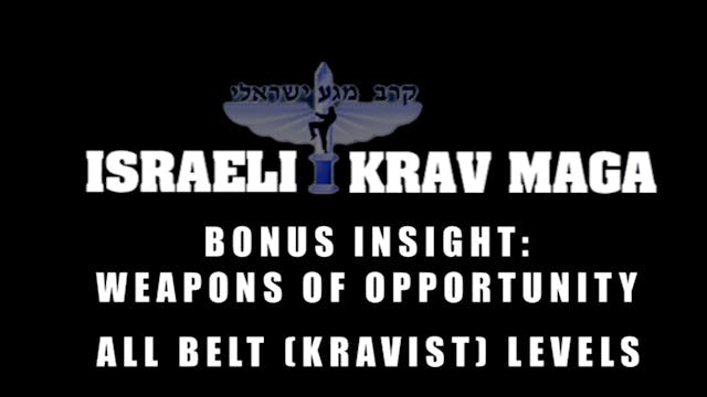 Krav Maga Combatives 2.8