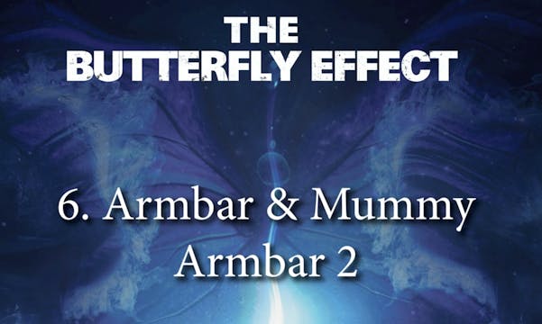 6 JP Armbar & Mummy Armbar 2