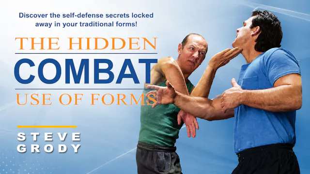 The Hidden Combat Use of Forms by Steve Grody