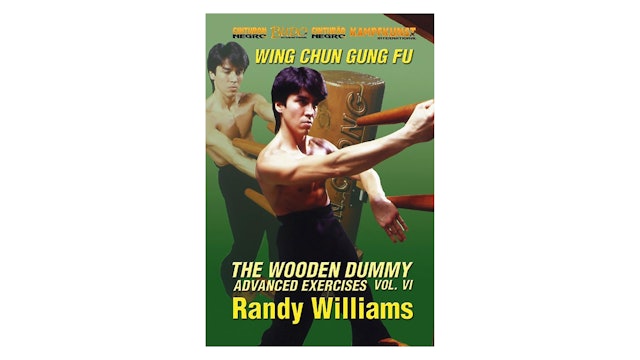 Wing Chun Wooden Dummy Form Part 6 Advanced Drills