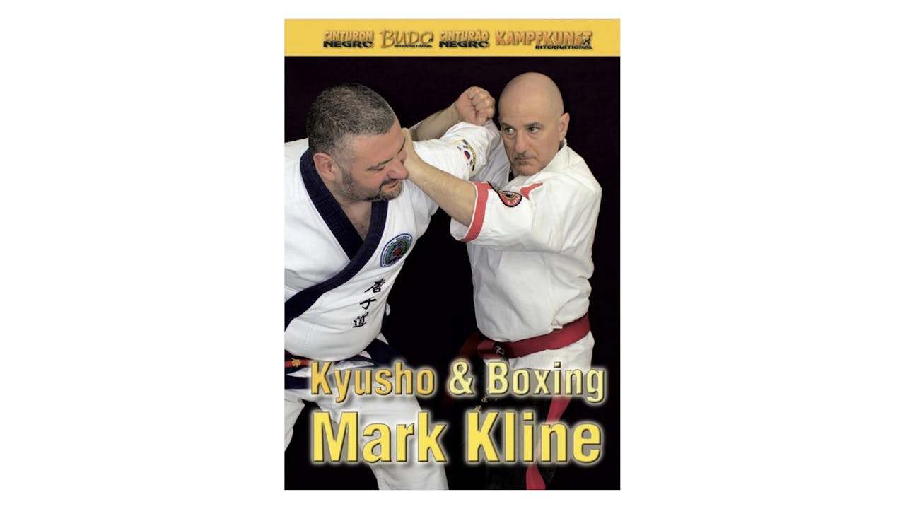 Kyusho & Boxing with Mark Kline