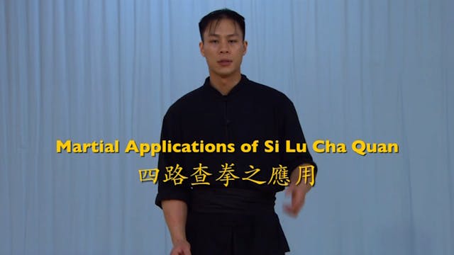 Shaolin Kung Fu Advanced 2 - 39