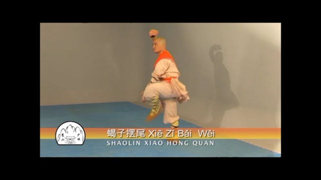 Shaolin Xiao Hong Quan Form Tao Lu by Shi Miaozhi