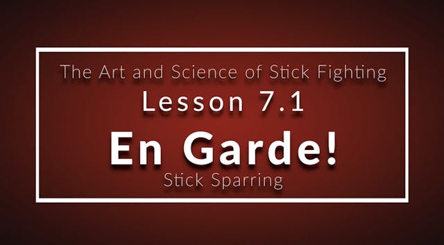 Art of Stick Fighting 7.1