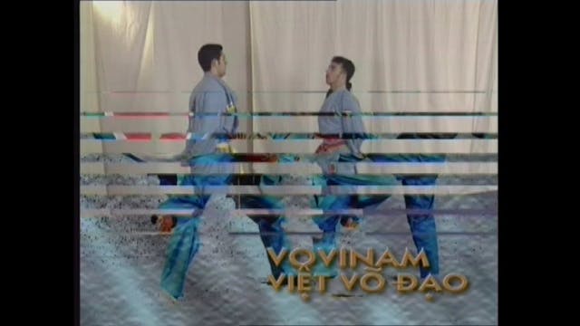 Vovinam Viet Vo Dao Vol 2 with Patrick Levet