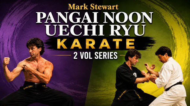 Pangai Noon Uechi Karate Training by Mark Stewart