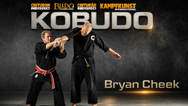 Kobudo by Bryan Cheek