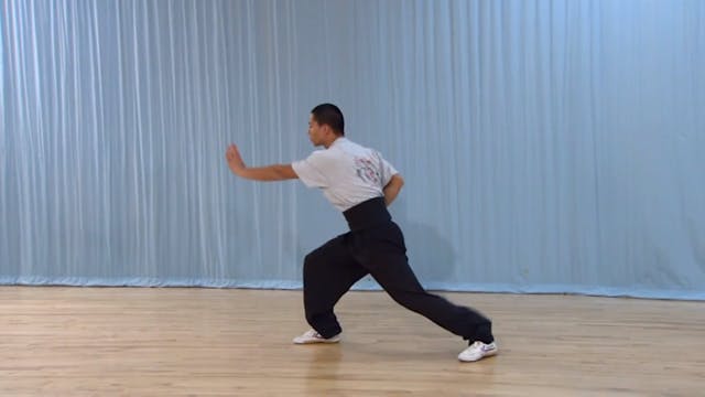 Shaolin Kung Fu Advanced 2 - 66