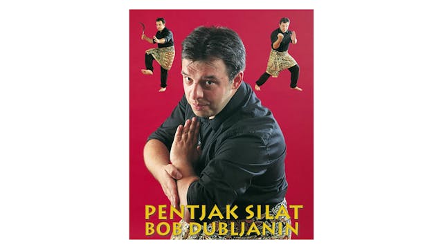 Pentjak Silat by Bob Dubljanin