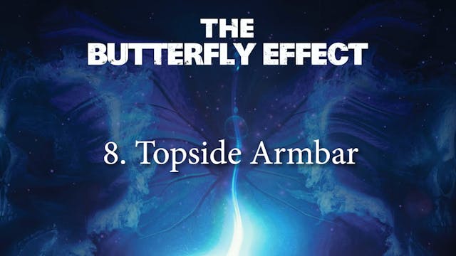 Butterfly Effect 8 Topside Armbar