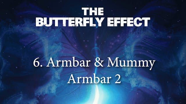 Butterfly Effect 6 Armbar & Mummy Armbar 2