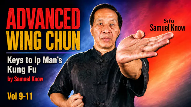 Advanced Wing Chun Keys to Ip Man's Kung Fu 9-11