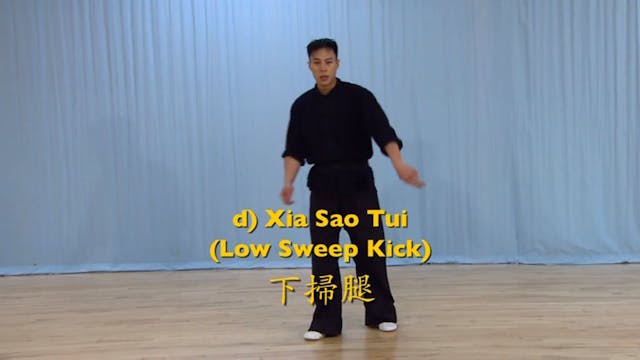 Shaolin Kung Fu Advanced 2 - 55