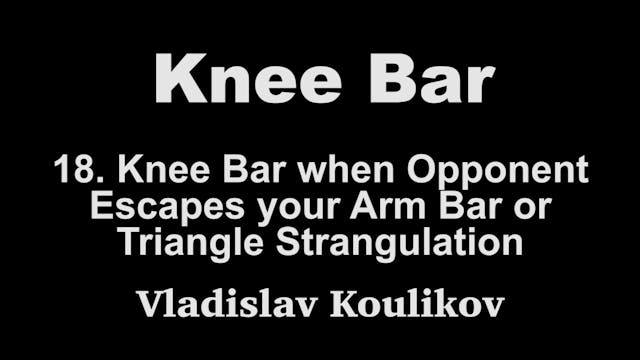 18. Knee Bar when opponent Escapes - ...