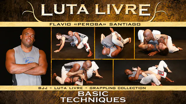 Luta Livre Basic Techniques by Flavio Santiago