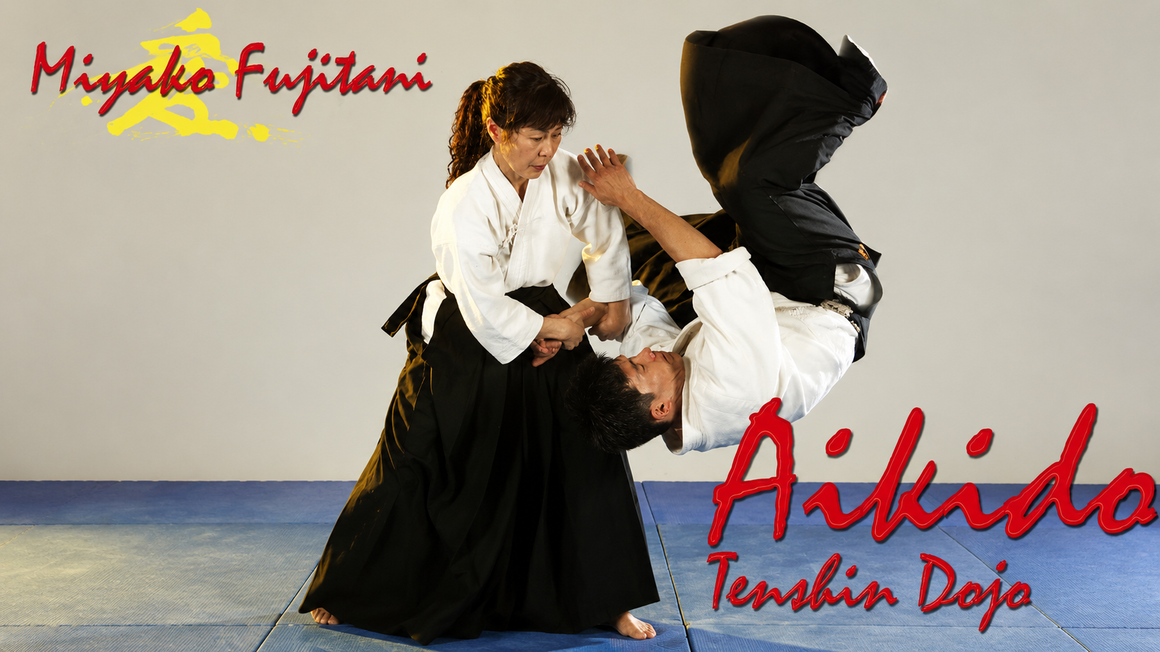 Aikido Tenshin Dojo Vol 2 with Miyako Fujitani