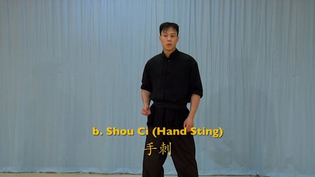 Shaolin Kung Fu Advanced 1.15