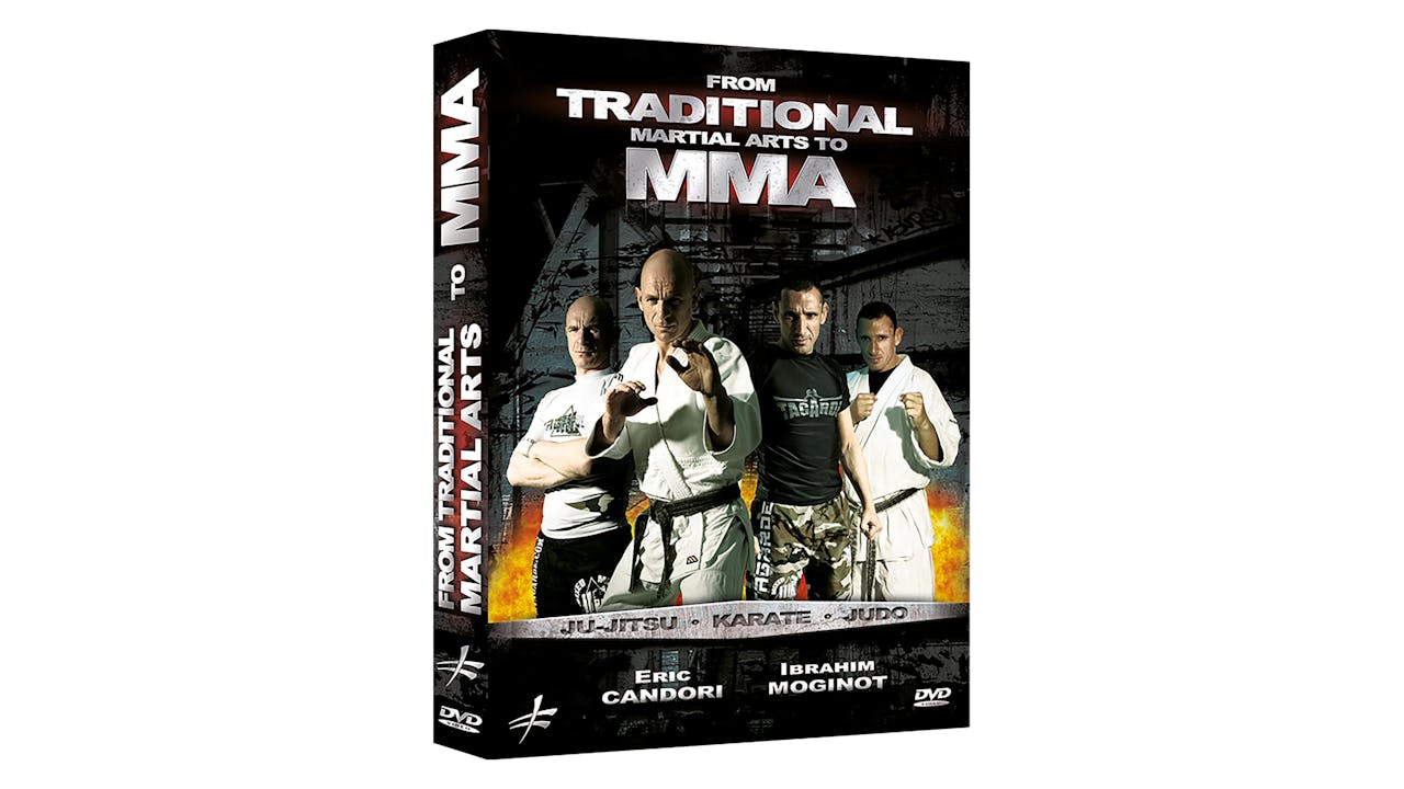 From Traditional Martial Arts to MMA