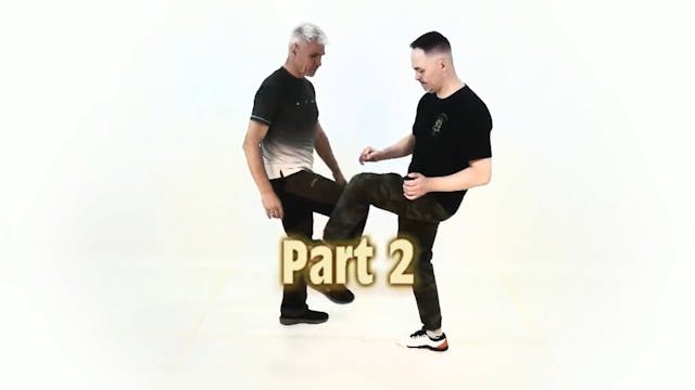 RMA Systema Combat Biomechanics V2 Dmitry Skogorev
