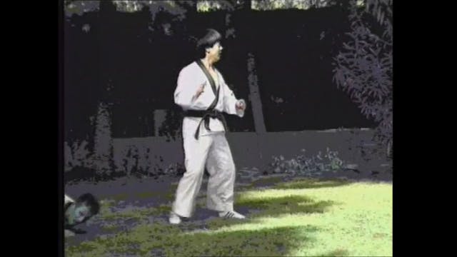 Hapkido Hoi Jeon Moo Sool Vol 2 with Kim Seong Tae