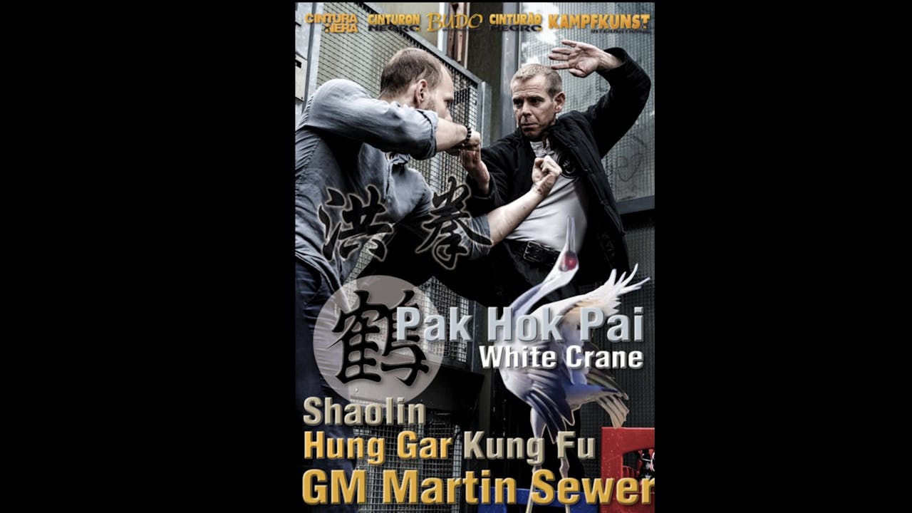 Bak Hok Pai White Crane Kung Fu by Martin Sewer