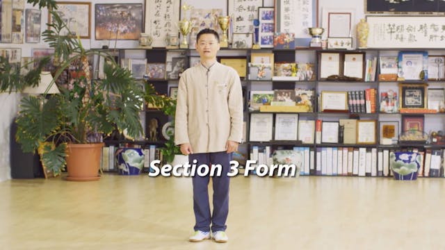 Sun Tai Chi Chenhan 1.5