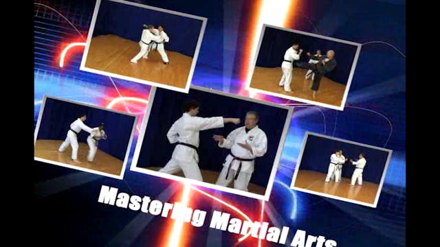Mastering the Martial Arts Vol 1