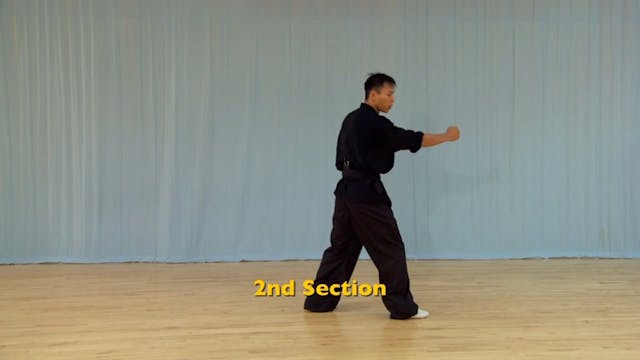Shaolin Kung Fu Advanced 1.73