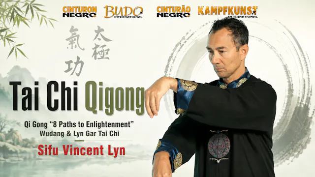 Tai Chi & Chi Gong Forms by Vincent Lyn