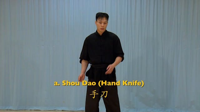 Shaolin Kung Fu Advanced 1.14