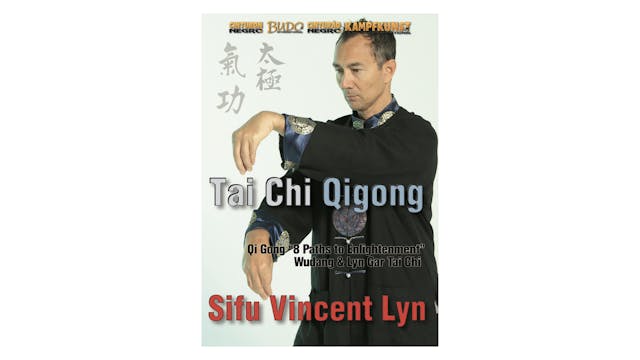 Tai Chi & Chi Gong Forms by Vincent Lyn