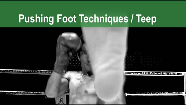 Muay Thai Basics 30 -  35 Pushing Foot Techniques