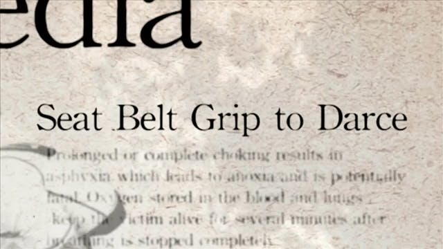 7 Seat Belt Grio to Darce Darcepedia English Vol 1