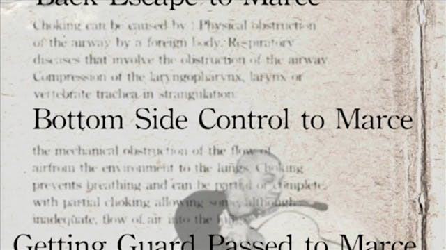 26 Bottom Side Control to Marce Darcepedia English Vol 1