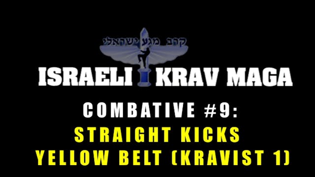 Krav Maga Combatives 2.1