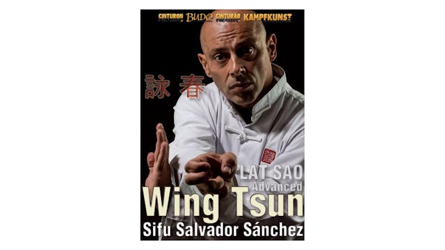 Wing Tsun Lat Sao Advanced TAOWS Academy