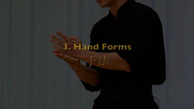 Shaolin Kung Fu Advanced 1.44