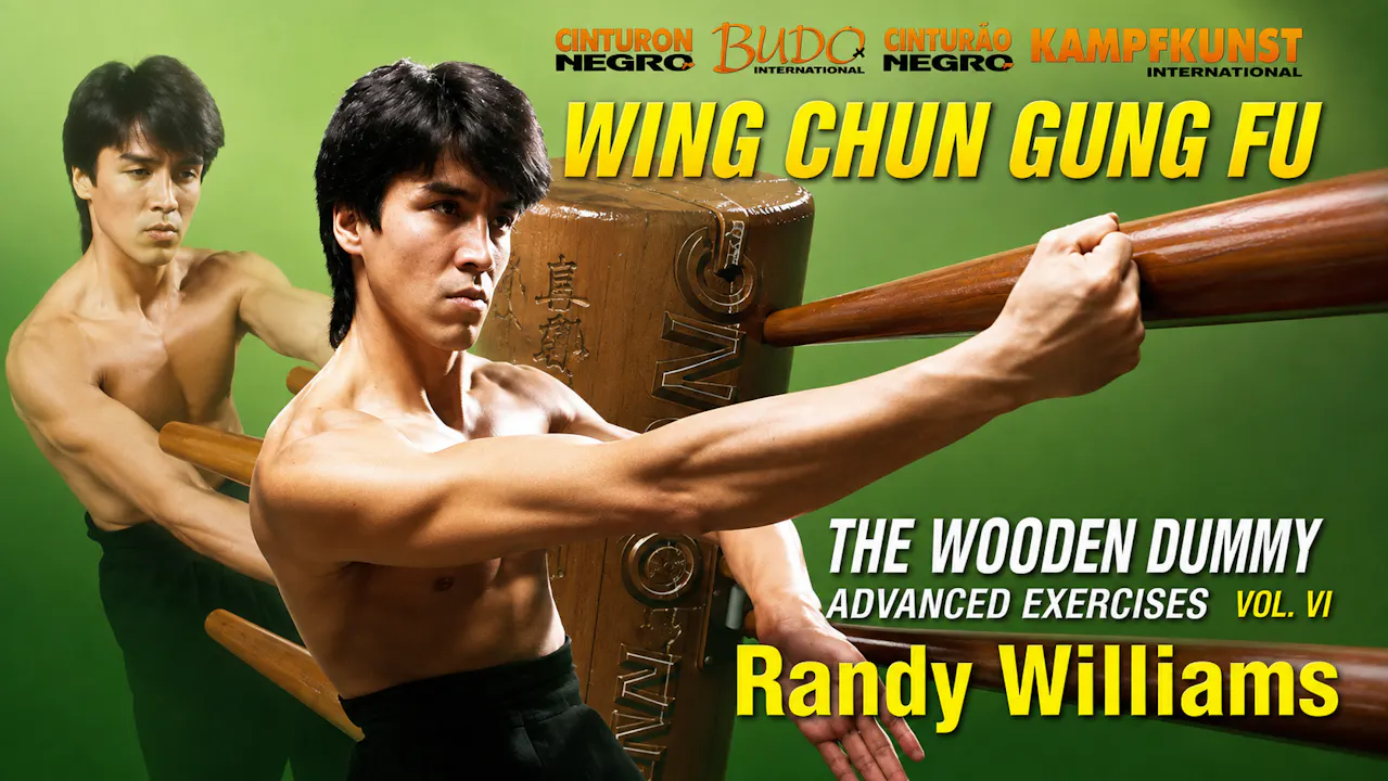 Wing Chun Wooden Dummy Form Part 6 Advanced Drills