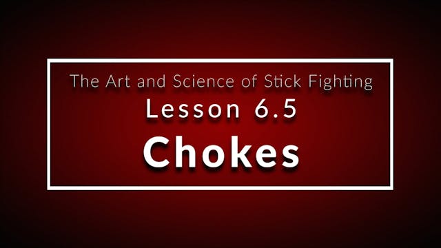 Art of Stick Fighting 6.5