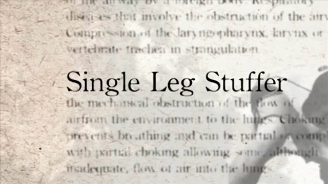 17 Single Leg Stuffer Darcepedia English Vol 1