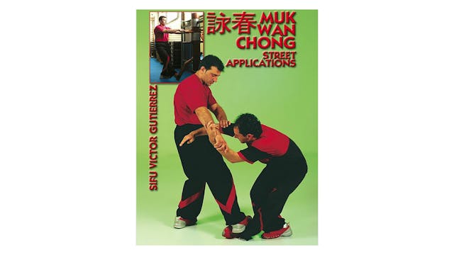 Wing Tsun Wooden Dummy Street Applications