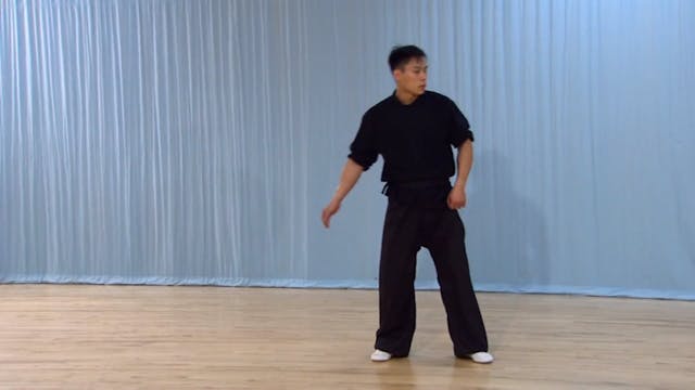 Shaolin Kung Fu Advanced 2 - 28