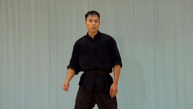 Shaolin Kung Fu Advanced 1.51