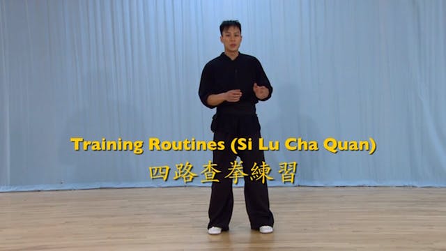 Shaolin Kung Fu Advanced 2 - 20