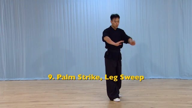 Shaolin Kung Fu Advanced 2 - 29